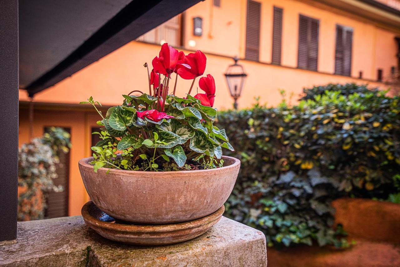 Cosy Studio In The Greenest Corner Of Trastevere Roma Esterno foto